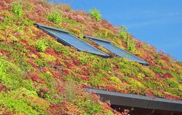 Cefn Y Crib living roof systems